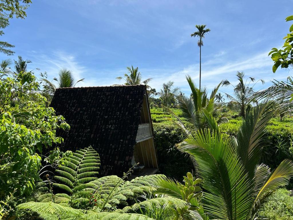 Jero Tumbuk Private Villa Selat Eksteriør billede