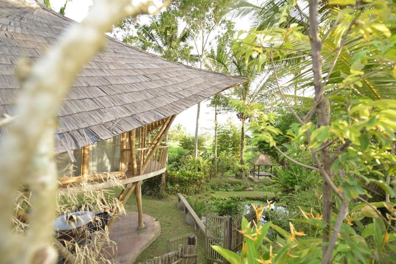 Jero Tumbuk Private Villa Selat Eksteriør billede