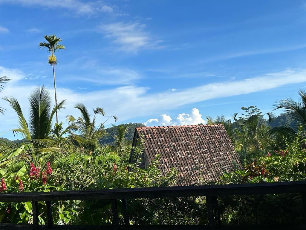 Jero Tumbuk Private Villa Selat Eksteriør billede
